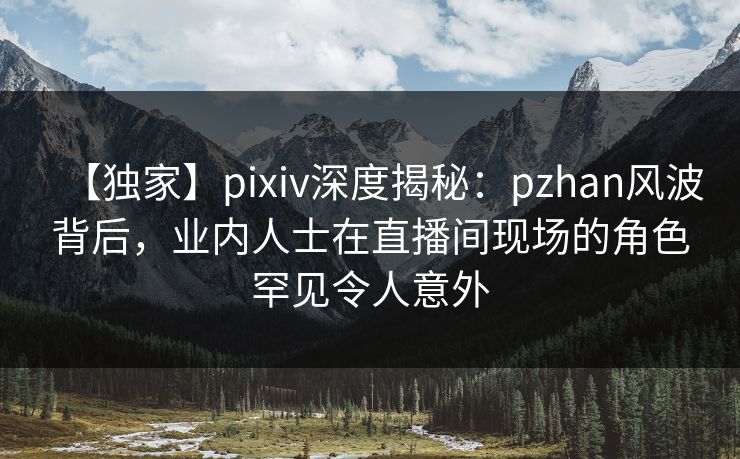 【独家】pixiv深度揭秘：pzhan风波背后，业内人士在直播间现场的角色罕见令人意外
