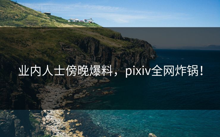 业内人士傍晚爆料,pixiv全网炸锅! 业内人士傍晚爆料,pixiv全网炸锅!