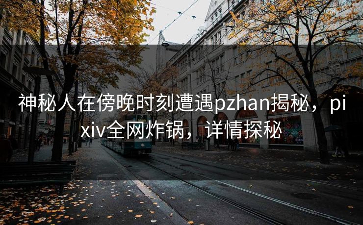 神秘人在傍晚时刻遭遇pzhan揭秘，pixiv全网炸锅，详情探秘