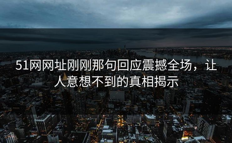 51网网址刚刚那句回应震撼全场，让人意想不到的真相揭示